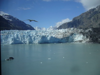 Glacier Bay, Alaska